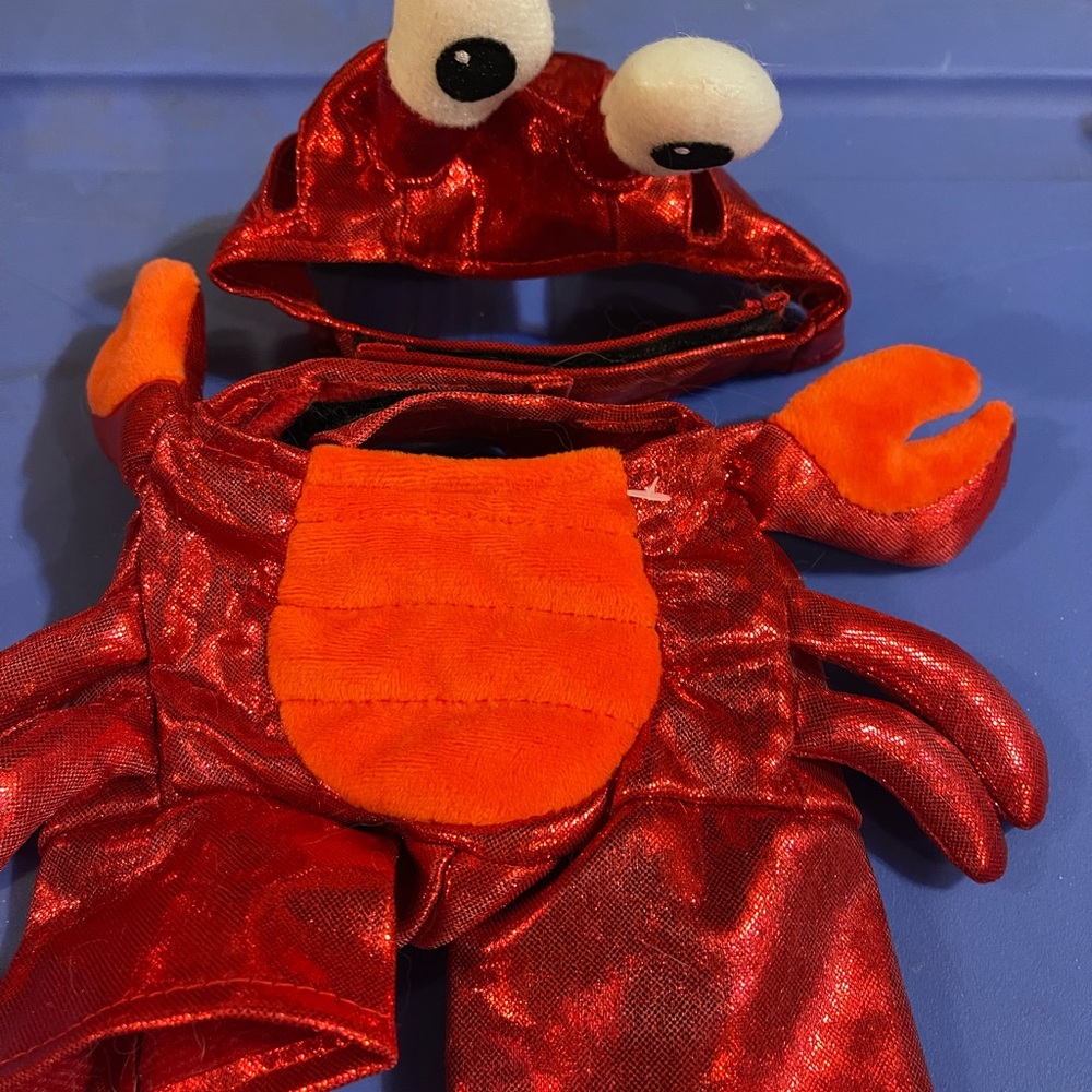 Lot of 5 XS cat costumes